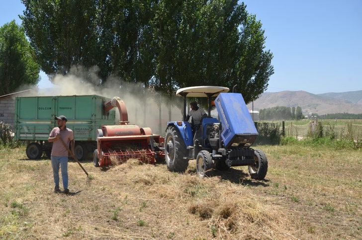Muş'ta çiftçiler hayvanları için kışlık yem mesaisine başladı G3