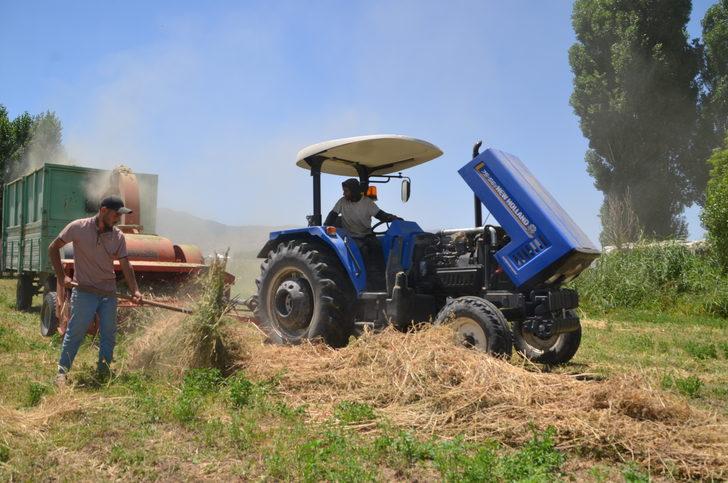 Muş'ta çiftçiler hayvanları için kışlık yem mesaisine başladı G4