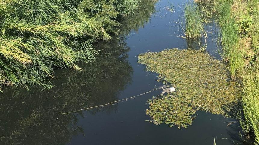 Antalya'da Nifrit Çayı'ndaki kirliliğin otel lojmanlarından kaynaklandığı belirlendi
