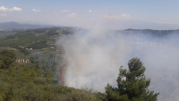 GÜNCELLEME - Bursa'da zeytinlik alanda çıkan yangın kontrol altına alındı G3