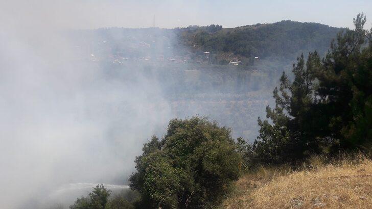 GÜNCELLEME - Bursa'da zeytinlik alanda çıkan yangın kontrol altına alındı G2