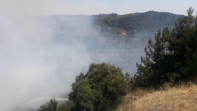 Bursa'da zeytinlik alanda çıkan yangına müdahale ediliyor