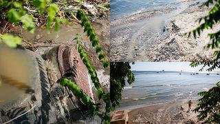 Florya Sahili'nde endişelendiren görüntü! Lağım suyu denize aktı