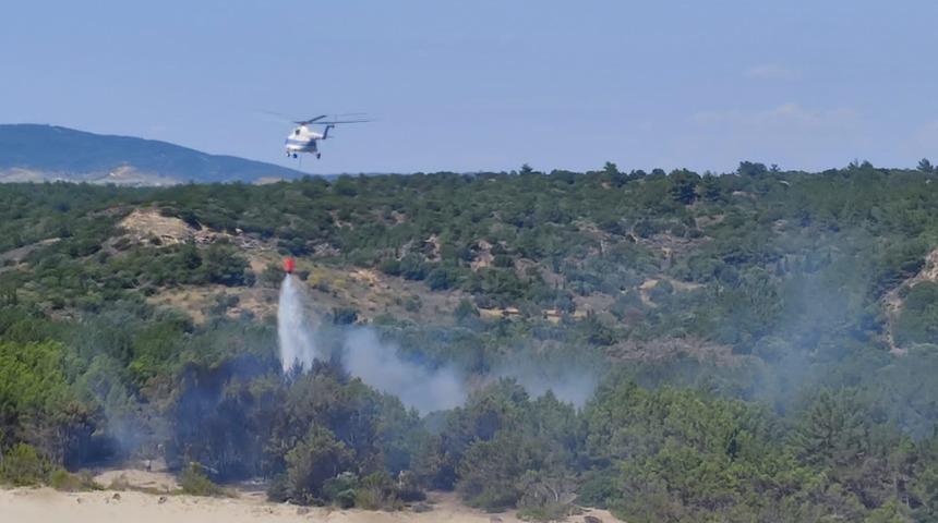 Tarihi Gelibolu Yarımadası'nda çıkan orman yangın kontrol altına alındı