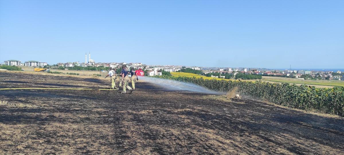 B&uuml;y&uuml;k&ccedil;ekmece'de otluk alanda &ccedil;ıkan yangın s&ouml;nd&uuml;r&uuml;ld&uuml;