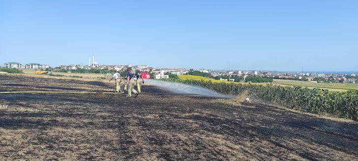 Büyükçekmece'de otluk alanda çıkan yangın söndürüldü G1