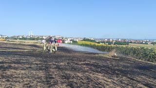 Büyükçekmece'de otluk alanda çıkan yangın söndürüldü