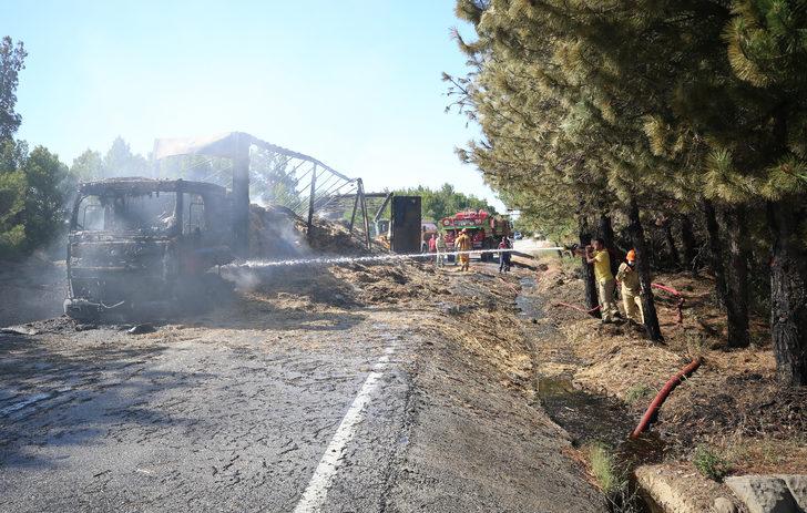 GÜNCELLEME - Tarihi Gelibolu Yarımadası'nda çıkan orman yangın kontrol altına alındı G3