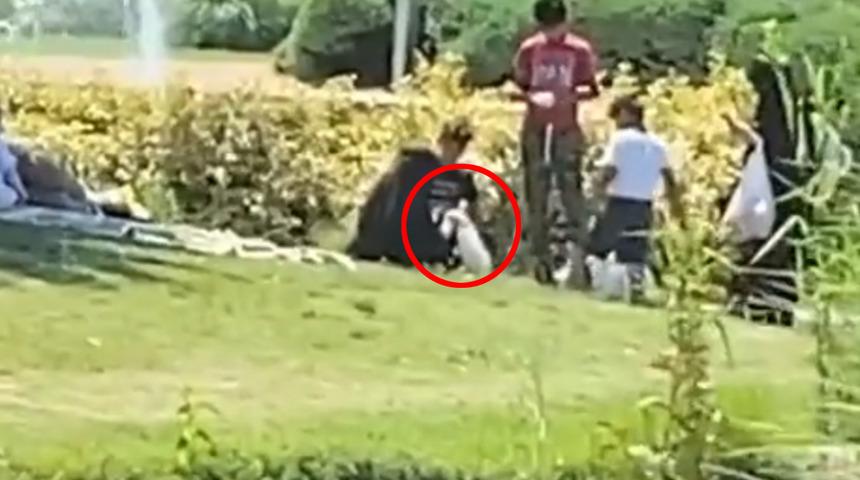 Bahçeşehir Gölet Parkı'nda bir garip olay! Kazları çaldıkları iddia edilmişti... Emniyet'ten açıklama geldi