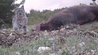 İlk defa görüntülendi