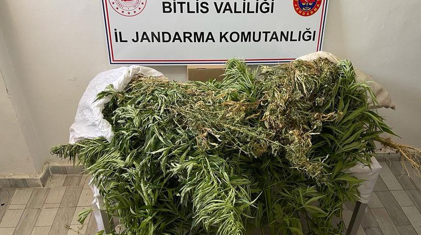 Bitlis'te 4 kilo 100 gram esrar ele geçirildi