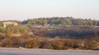 GÜNCELLEME - İzmir'de ormanlık alanda çıkan yangın kontrol altına alındı