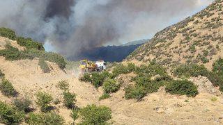 GÜNCELLEME - Aydın'da çıkan orman yangınına müdahale ediliyor