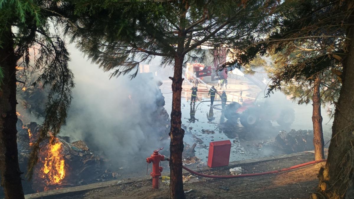 Tekirdağ'da kağıt fabrikasının bah&ccedil;esinde &ccedil;ıkan yangın s&ouml;nd&uuml;r&uuml;ld&uuml;