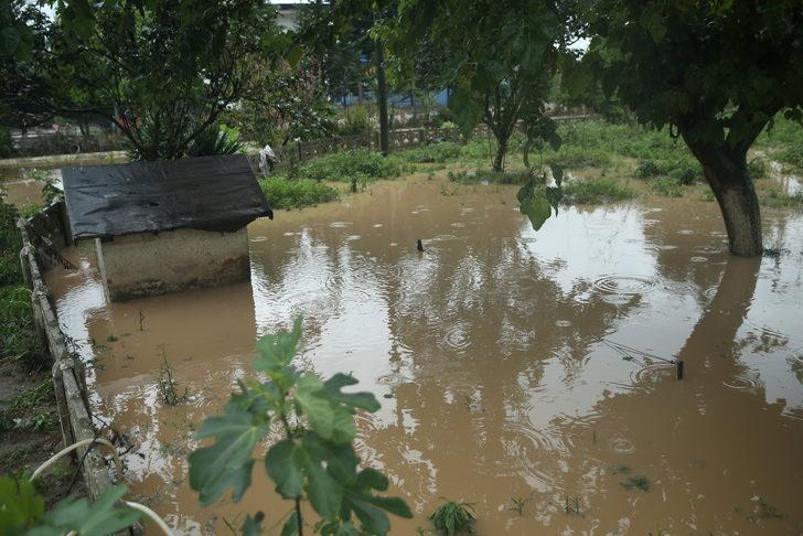 Bayburt Dede Korkut Uluslararası Kültür ve Sanat Şöleni başladı G4