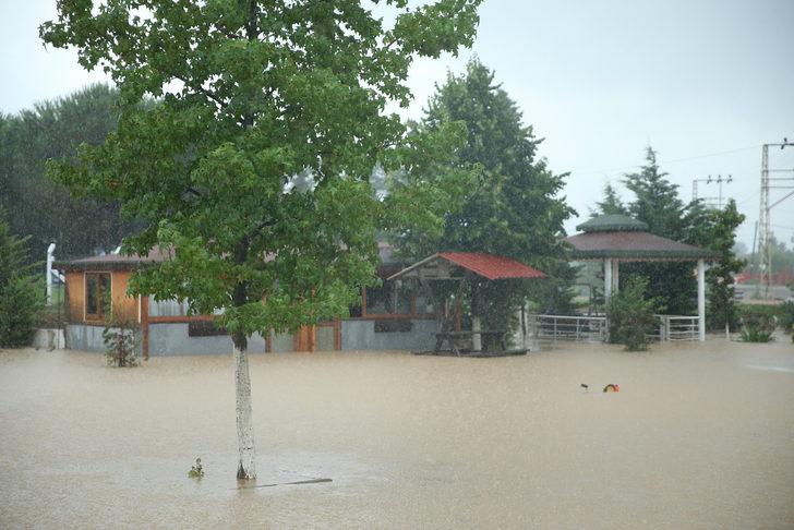 GÜNCELLEME - Ordu'da şiddetli yağış hasara yol açtı G5