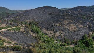 Balıkesir'in Kepsut ilçesindeki orman yangınında soğutma çalışmaları sürüyor