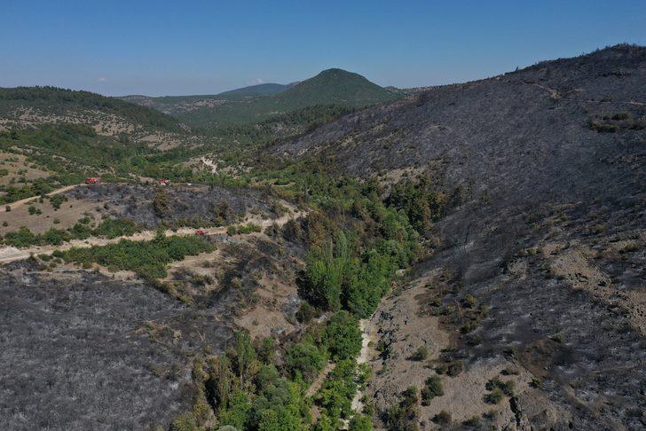 Balıkesir'in Kepsut ilçesindeki orman yangınında soğutma çalışmaları sürüyor G2