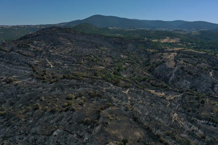 Balıkesir'in Kepsut ilçesindeki orman yangınında soğutma çalışmaları sürüyor G5