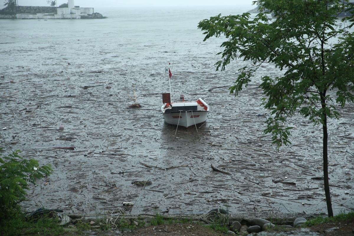 G&Uuml;NCELLEME 2 - Ordu'da şiddetli yağış hasara yol a&ccedil;tı
