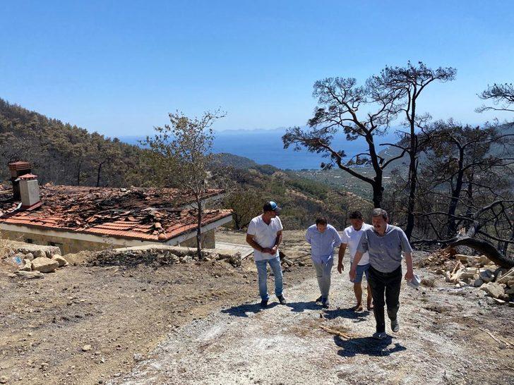 Muğla Valisi Tavlı, Datça'da yangın bölgesinde inceleme yaptı G1