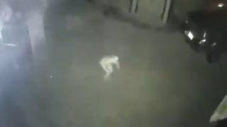 Korku filmini andıran 33 saniye! Gizemli yaratık mı hırsız mı? 'Yüzünü görebiliyorsunuz'