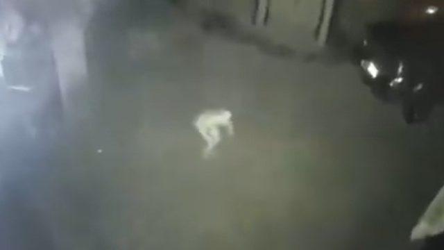 Korku filmini andıran 33 saniye! Gizemli yaratık mı hırsız mı? 'Yüzünü görebiliyorsunuz'