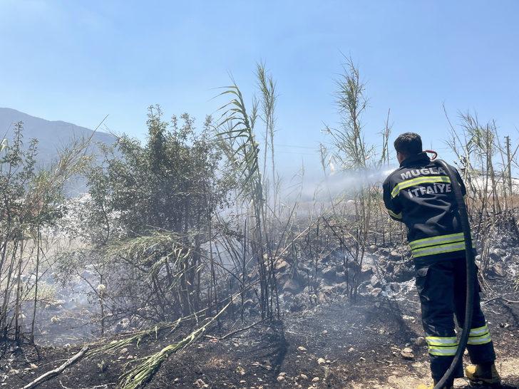 Muğla'da tarım arazisinde çıkan yangın söndürüldü G3