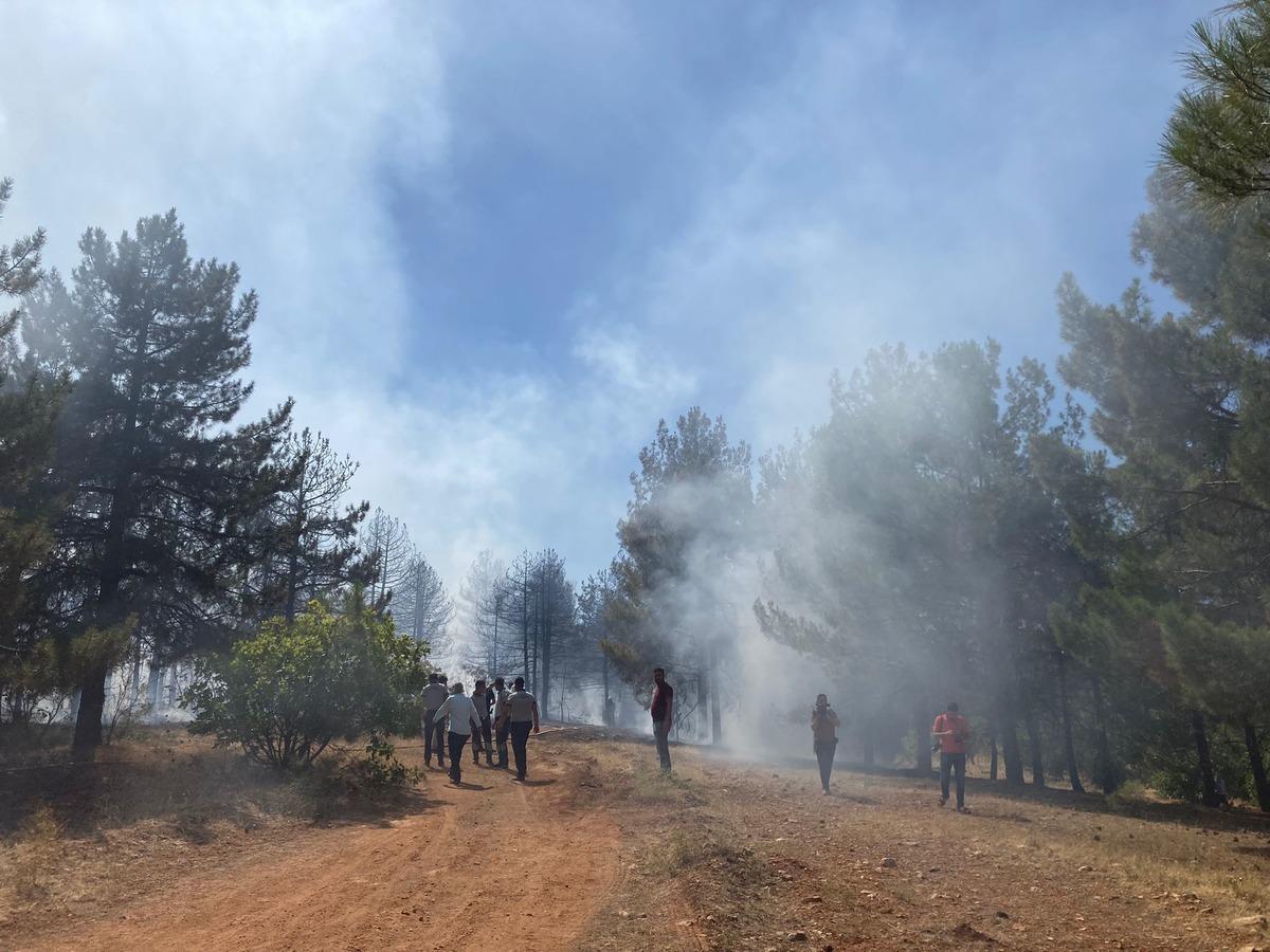 Gaziantep'te &ccedil;ıkan orman yangınına m&uuml;dahale ediliyor