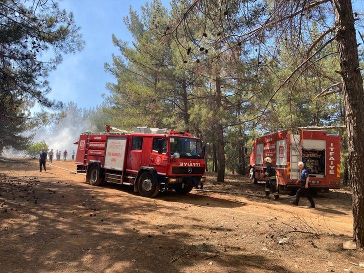 GÜNCELLEME - Gaziantep'te çıkan orman yangını kontrol altına alındı G3