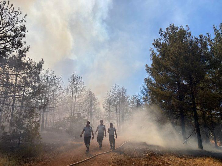 GÜNCELLEME - Gaziantep'te çıkan orman yangını kontrol altına alındı G4