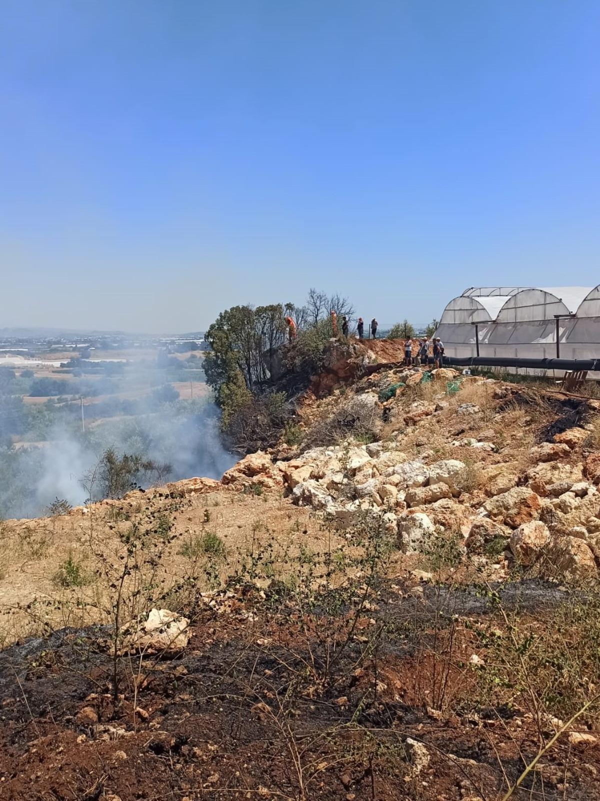 Antalya'da makilik alanda &ccedil;ıkan yangın seralarda hasara neden oldu