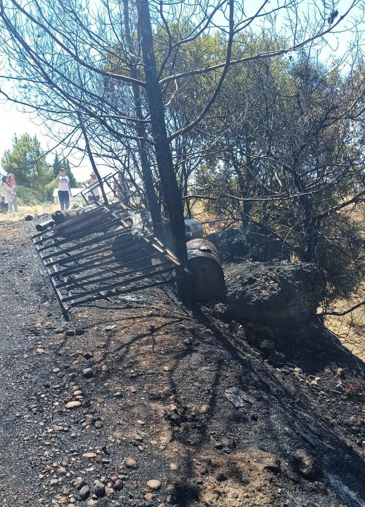 Antalya'da makilik alanda çıkan yangın seralarda hasara neden oldu G2