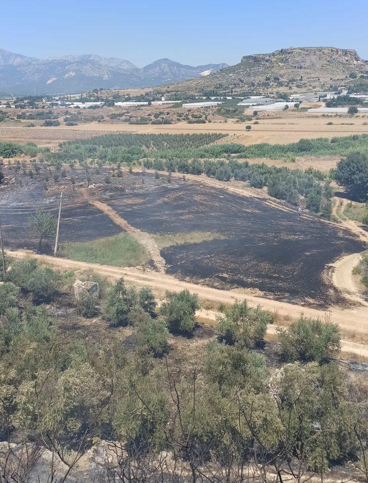 Antalya'da makilik alanda çıkan yangın seralarda hasara neden oldu G3