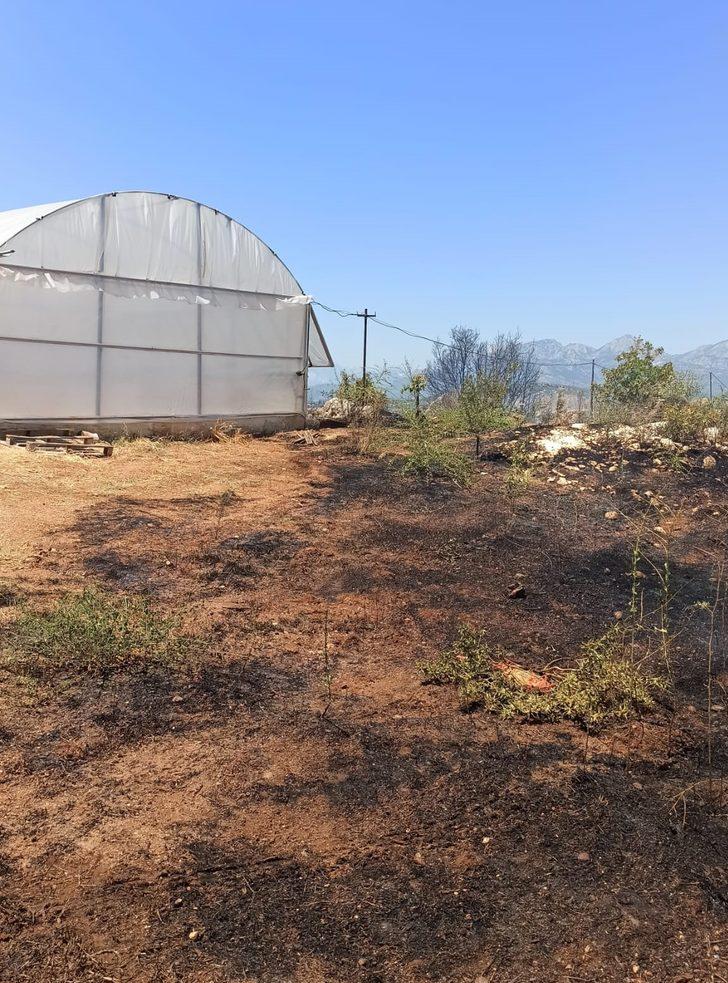 Antalya'da makilik alanda çıkan yangın seralarda hasara neden oldu G5