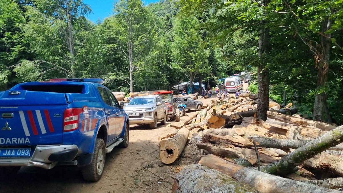 D&uuml;zce'de kestiği ağa&ccedil; &uuml;zerine devrilen orman iş&ccedil;isi &ouml;ld&uuml;