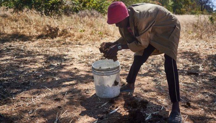 Akılalmaz yöntem! Zimbabve’de kadınlar regl kanamasını durdurmak için inek dışkısı ve gazete kullanıyor
