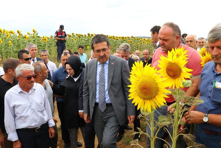 Tarım ve Orman Bakan Yardımcısı Pakdil, çayır tırtılı görülen tarlaları inceledi: G1