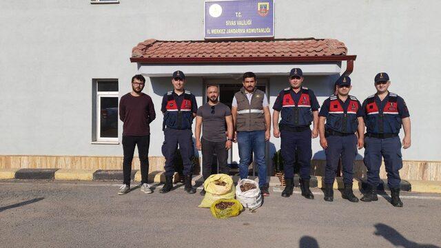 Sivas'ta salep soğanı toplayan 9 kişiye 986 bin 337 lira ceza