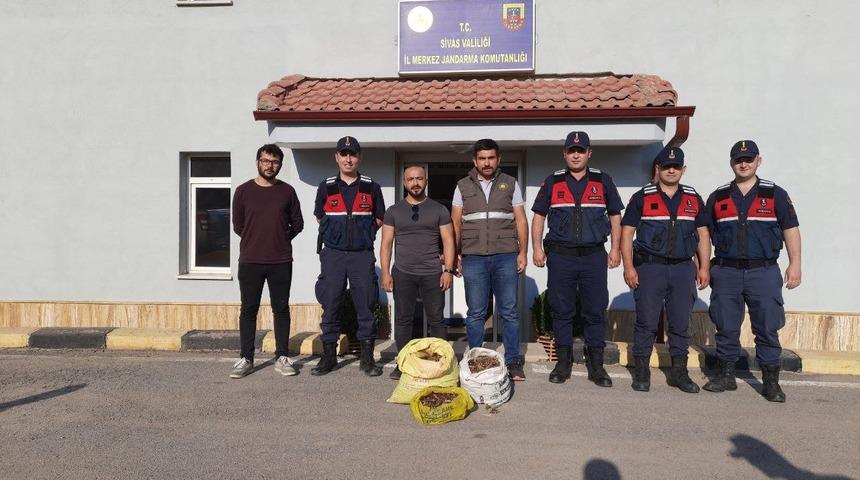 Sivas'ta salep soğanı toplayan 9 kişiye 986 bin 337 lira ceza