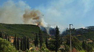 GÜNCELLEME - Aydın'da çıkan orman yangını kontrol altına alındı