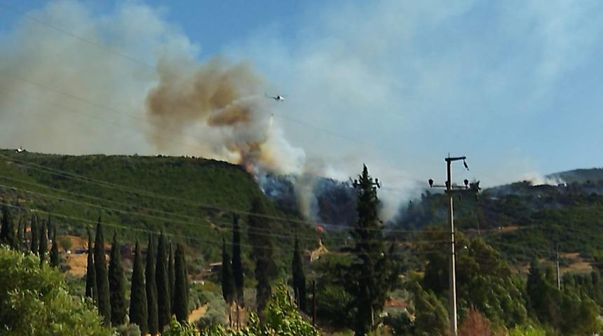 GÜNCELLEME - Aydın'da çıkan orman yangını kontrol altına alındı