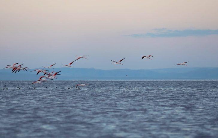 Tuz Gölü'nde doğa kampı düzenlendi G4
