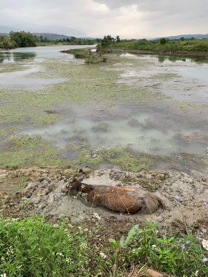 Tokat'ta çamura saplanan ineği itfaiye ekipleri kurtardı G1