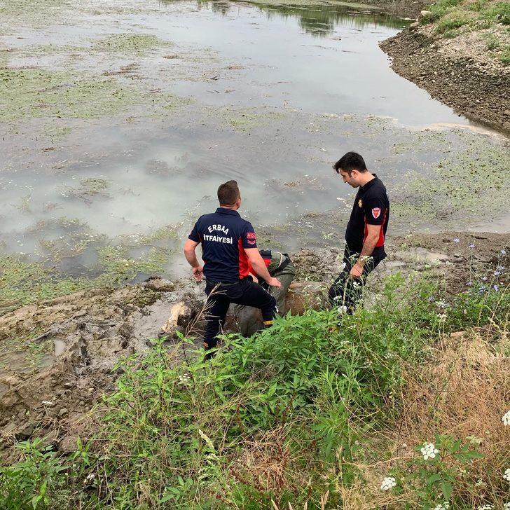 Tokat'ta çamura saplanan ineği itfaiye ekipleri kurtardı G2