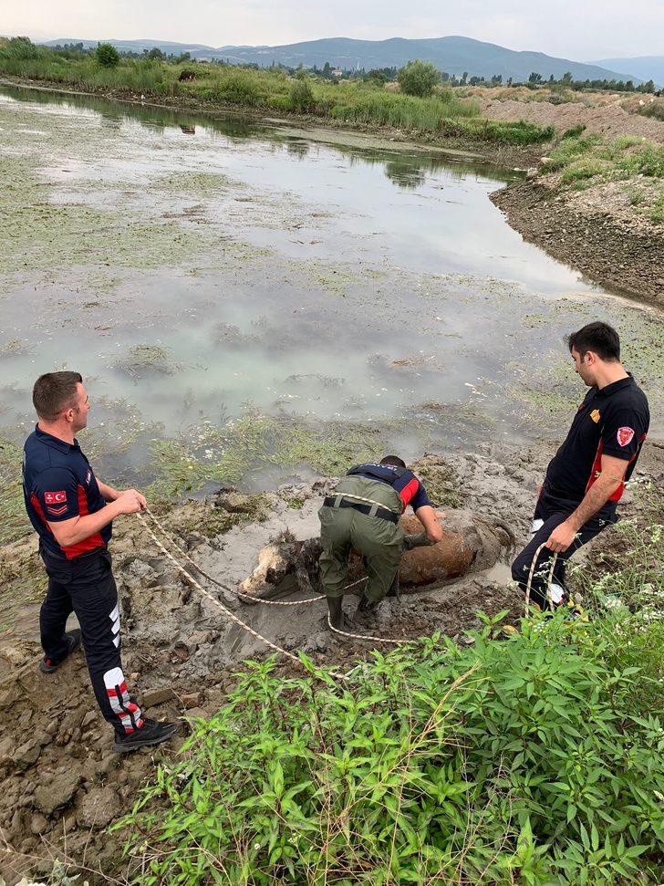 Tokat'ta çamura saplanan ineği itfaiye ekipleri kurtardı G4
