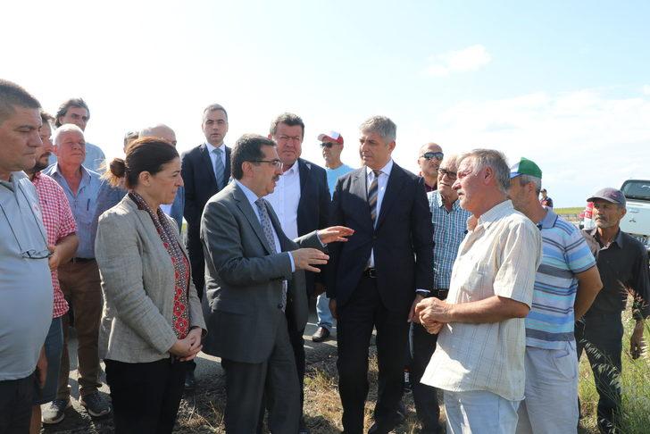 Bakan Yardımcısı Pakdil, Edirne'de ayçiçeği tarlalarında incelemede bulundu: G2