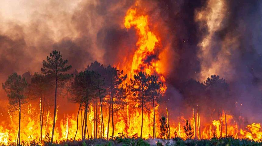 Orman yangınları o ülkeyi esir aldı! 30 farklı noktada müdahale sürüyor