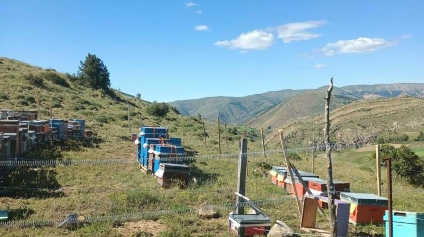 G&uuml;m&uuml;şhane'de &ccedil;alınan kovanlar JASAT ekiplerince Bayburt ve Giresun'da bulundu