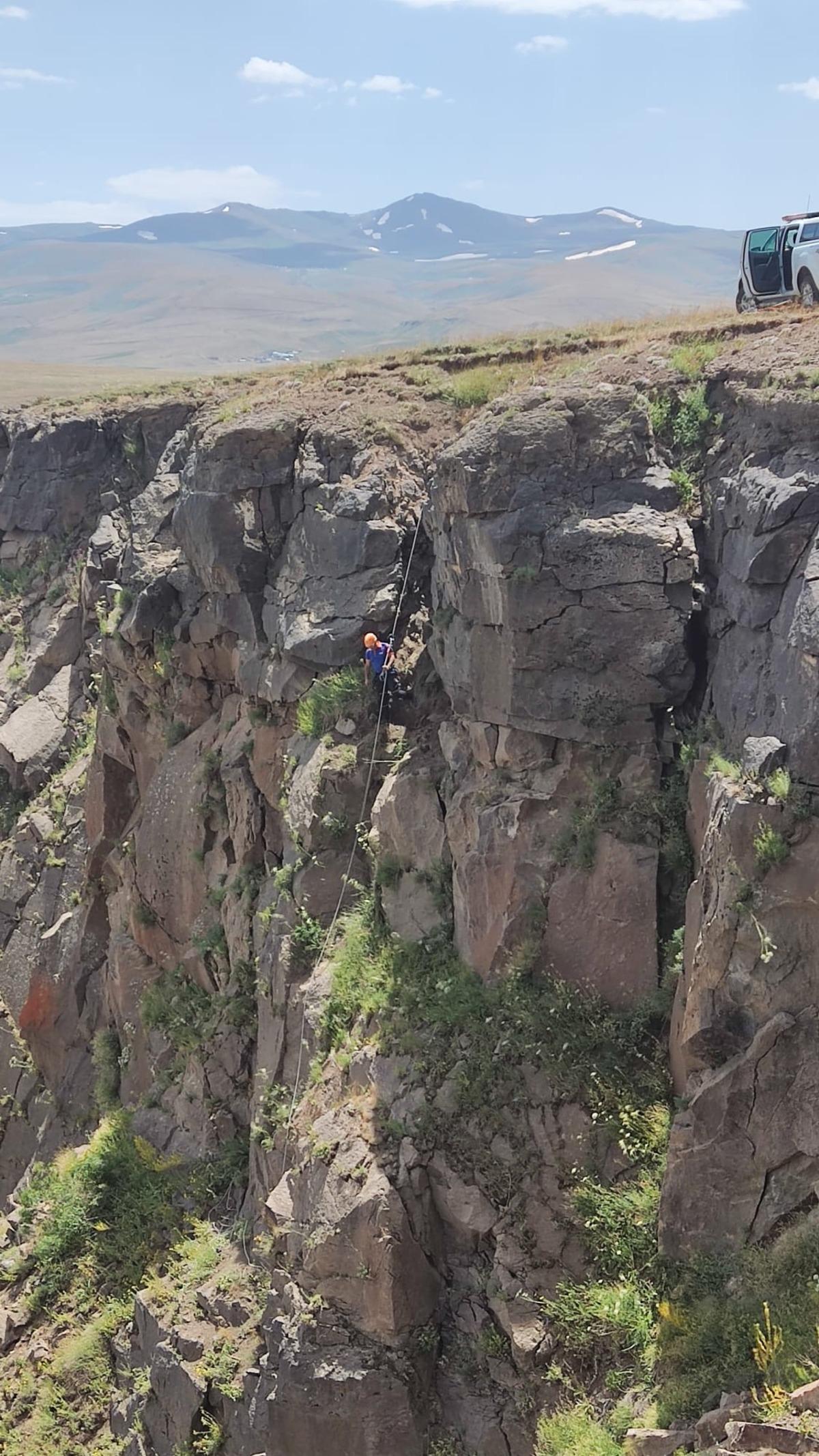 Ağrı'da kayalıklarda mahsur kalan ke&ccedil;iler kurtarıldı
